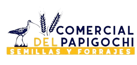 Logo Comercial Papigochi