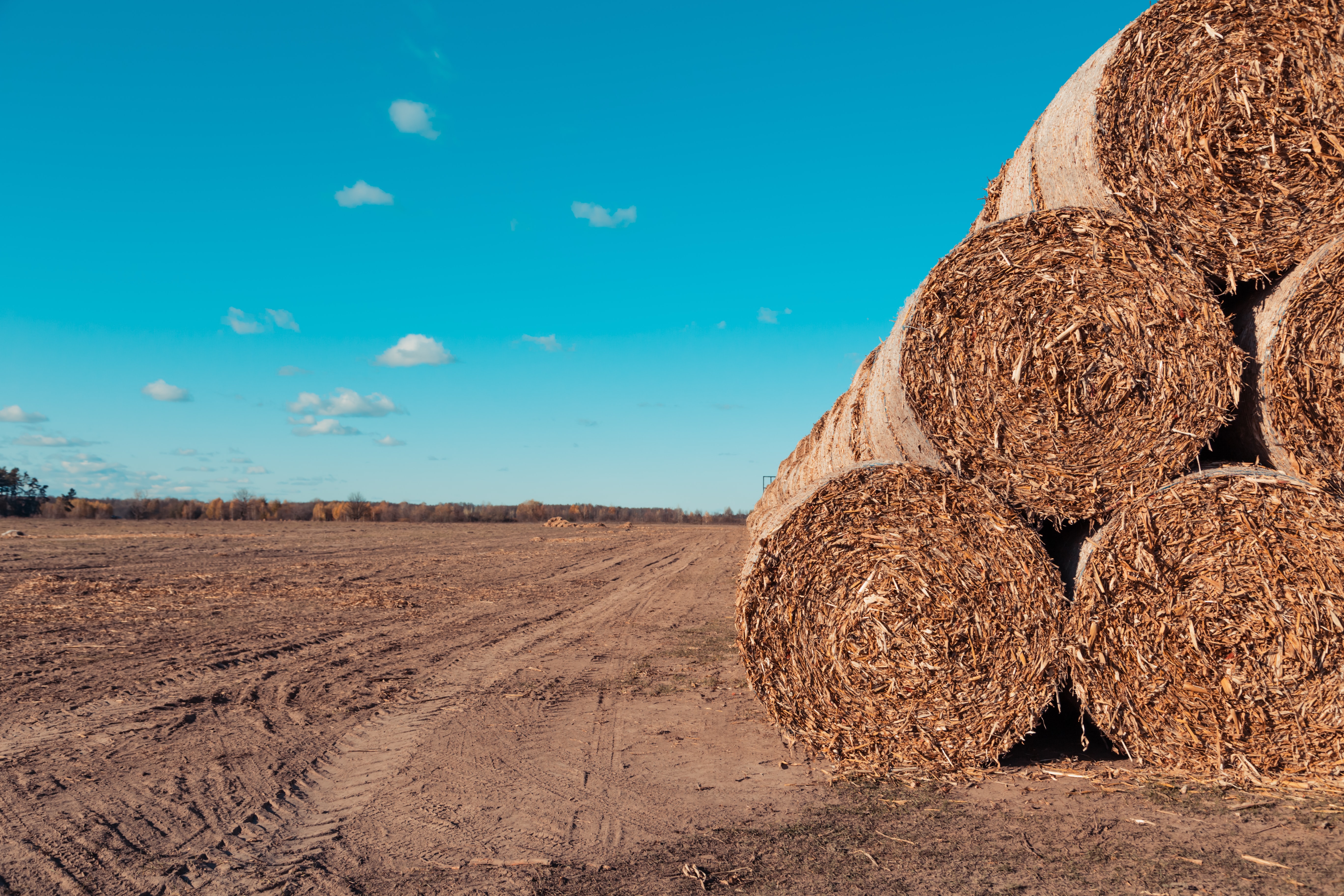 GRAJEDA TRANSPORTES S.A. de C.V.